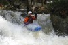 Thumbs/tn_Img_8032.jpg