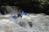 Thumbs/tn_Img_8047.jpg