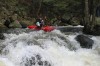 Thumbs/tn_Img_8063.jpg