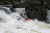 Thumbs/tn_Img_8068.jpg