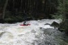 Thumbs/tn_Img_8073.jpg