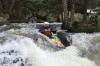 Thumbs/tn_Img_8119.jpg