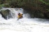 Thumbs/tn_Img_8128.jpg