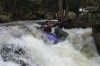 Thumbs/tn_Img_8143.jpg