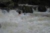 Thumbs/tn_Img_8175.jpg