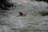 Thumbs/tn_Img_8311.jpg
