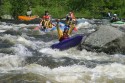 Thumbs/tn_Img_0848.jpg