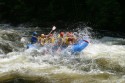 Thumbs/tn_Img_0898.jpg