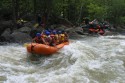 Thumbs/tn_Img_1129.jpg