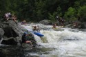 Thumbs/tn_Img_1191.jpg