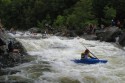 Thumbs/tn_Img_1195.jpg
