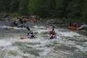 Thumbs/tn_Img_1204.jpg