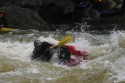 Thumbs/tn_Img_1238.jpg