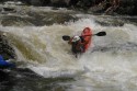 Thumbs/tn_Img_1378.jpg