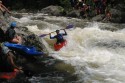 Thumbs/tn_Img_1389.jpg