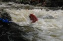 Thumbs/tn_Img_1391.jpg