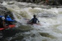 Thumbs/tn_Img_1396.jpg