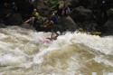 Thumbs/tn_Img_1405.jpg