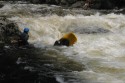 Thumbs/tn_Img_1451.jpg