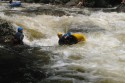 Thumbs/tn_Img_1452.jpg