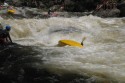 Thumbs/tn_Img_1453.jpg