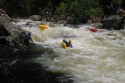 Thumbs/tn_Img_1454.jpg