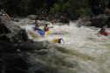 Thumbs/tn_Img_1455.jpg