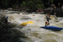 Thumbs/tn_Img_1458.jpg