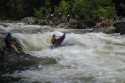 Thumbs/tn_Img_1459.jpg