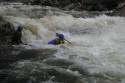 Thumbs/tn_Img_1464.jpg