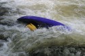 Thumbs/tn_Img_1471.jpg