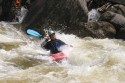 Thumbs/tn_Img_1477.jpg