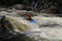 Thumbs/tn_Img_1480.jpg