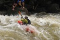 Thumbs/tn_Img_1496.jpg