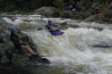 Thumbs/tn_Img_1568.jpg