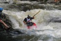 Thumbs/tn_Img_1597.jpg