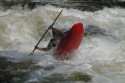 Thumbs/tn_Img_1598.jpg