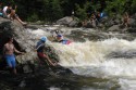 Thumbs/tn_Img_1600.jpg