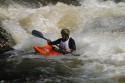 Thumbs/tn_Img_1609.jpg