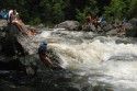 Thumbs/tn_Img_1615.jpg