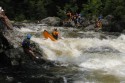 Thumbs/tn_Img_1617.jpg