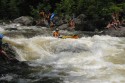 Thumbs/tn_Img_1620.jpg