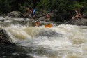 Thumbs/tn_Img_1621.jpg