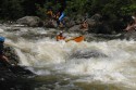 Thumbs/tn_Img_1624.jpg