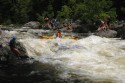 Thumbs/tn_Img_1627.jpg