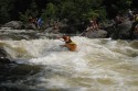 Thumbs/tn_Img_1629.jpg