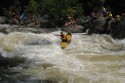 Thumbs/tn_Img_1630.jpg