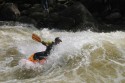Thumbs/tn_Img_1648.jpg