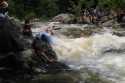 Thumbs/tn_Img_1668.jpg