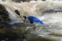 Thumbs/tn_Img_1683.jpg
